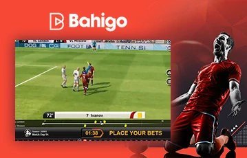 Guide to bahigo casino switzerland